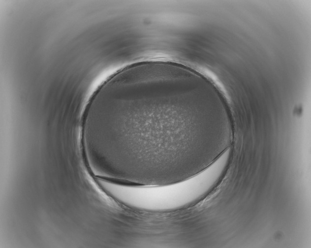 X0000094211424200711021105