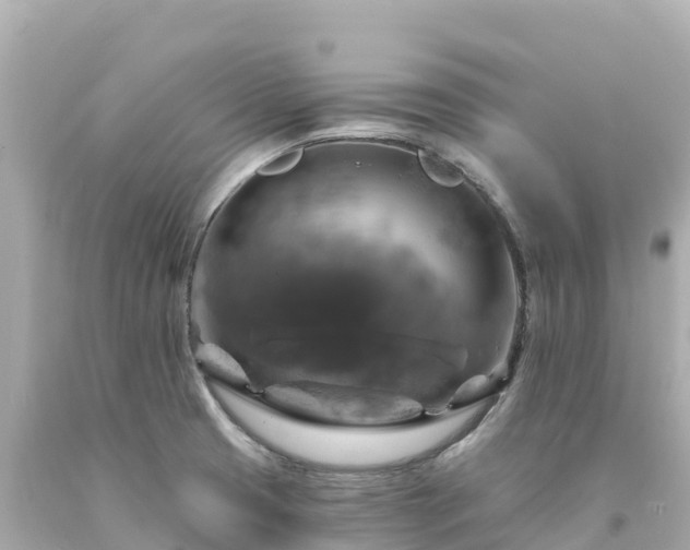 X0000094211425200711021105