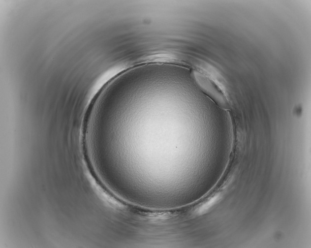 X0000094211426200711021105