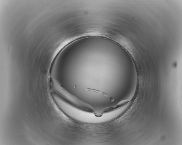 X0000094211428200711021105