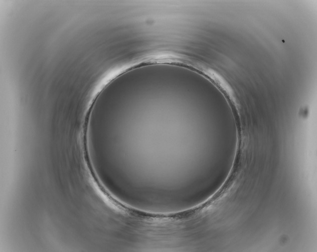X0000094211429200711021105