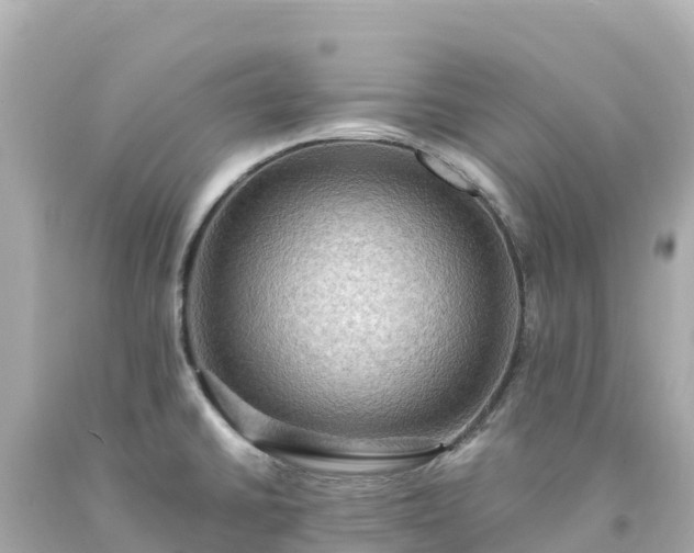 X0000094211430200711021105