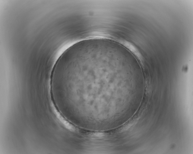 X0000094211431200711021105