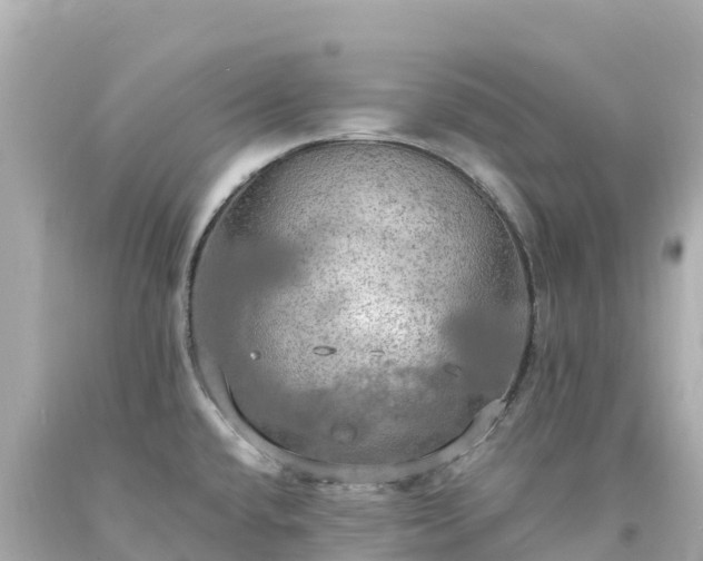 X0000094211432200711021105