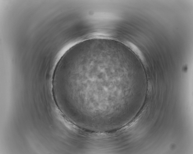 X0000094211435200711021105