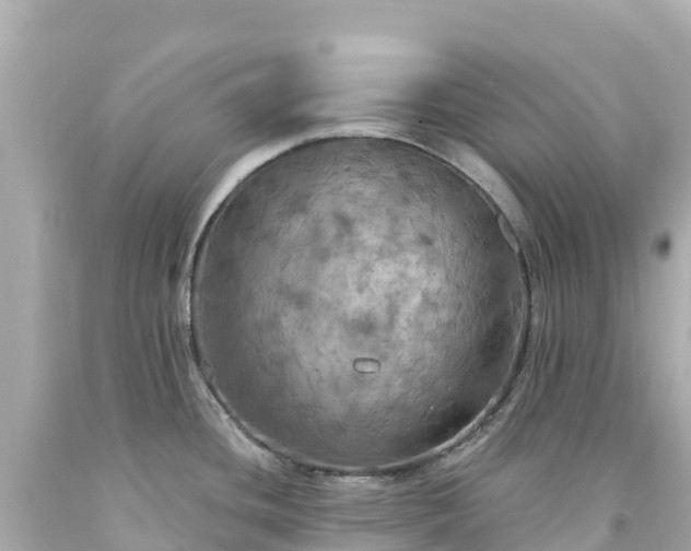 X0000094211436200711021105