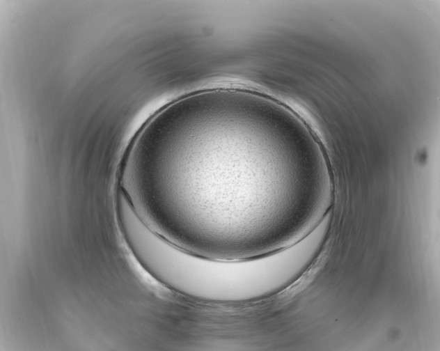 X0000094211438200711021105