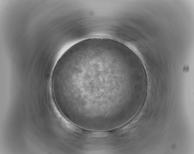 X0000094211440200711021105