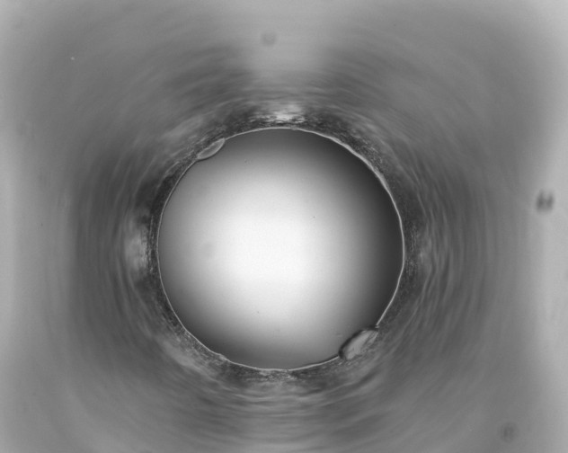 X0000094211442200711021105