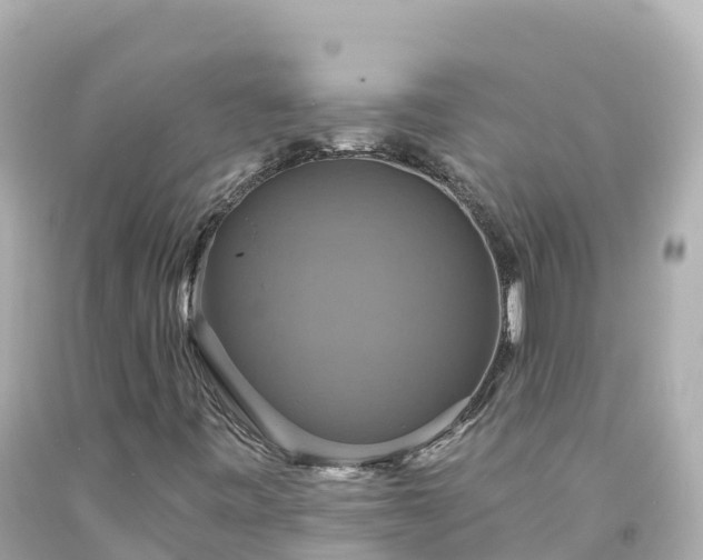 X0000094211443200711021105