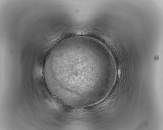 X0000094211444200711021105