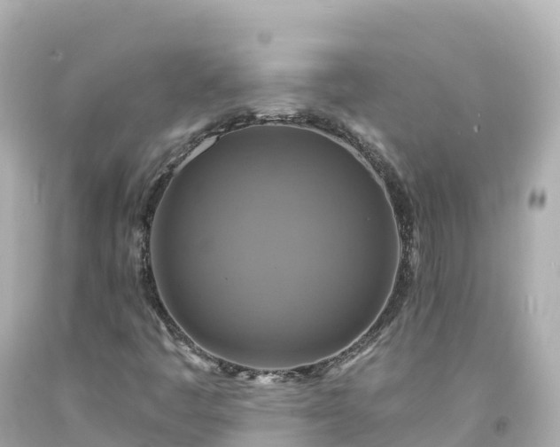 X0000094211445200711021105