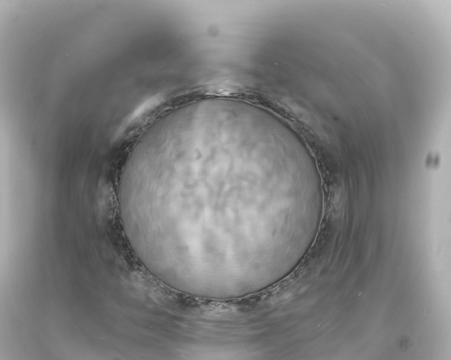 X0000094211446200711021105