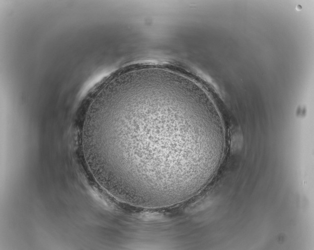 X0000094211448200711021105