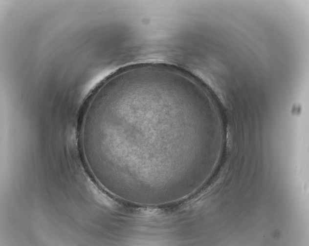 X0000094211452200711021105