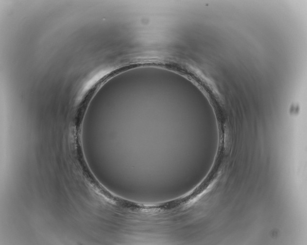 X0000094211453200711021105