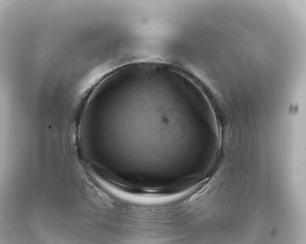 X0000094211455200711021105