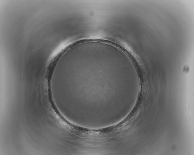 X0000094211456200711021105