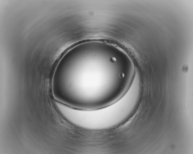 X0000094211457200711021105