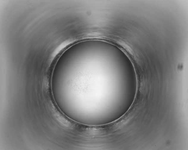 X0000094211458200711021105