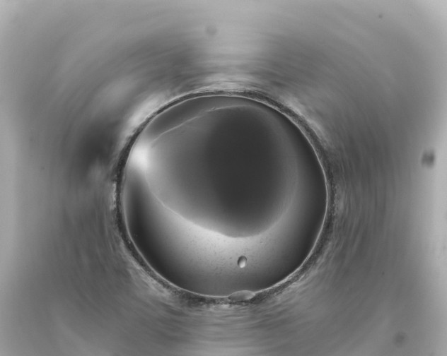 X0000094211459200711021105