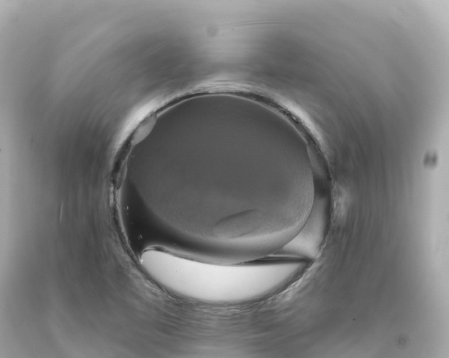 X0000094211461200711021105