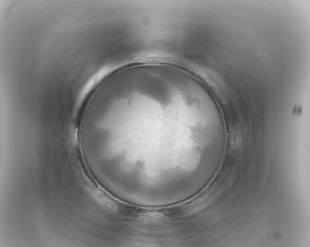 X0000094211462200711021105