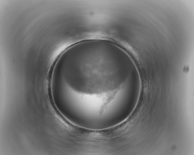 X0000094211463200711021105