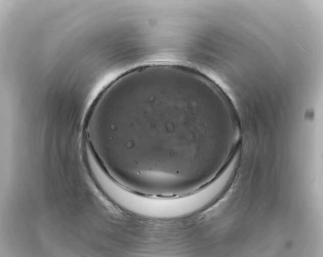 X0000094211469200711021104