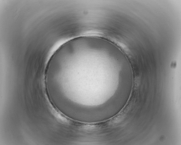 X0000094211470200711021104
