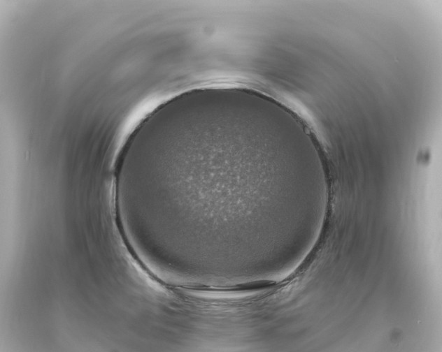 X0000094211472200711021104
