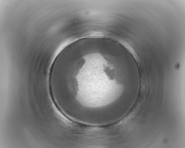 X0000094211475200711021104