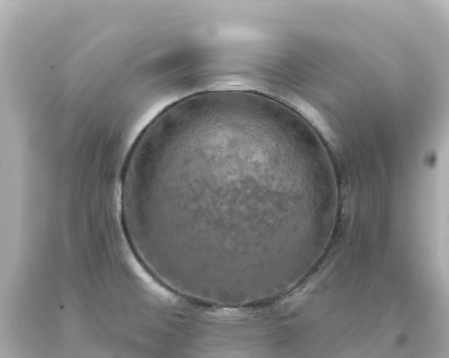 X0000094211476200711021104