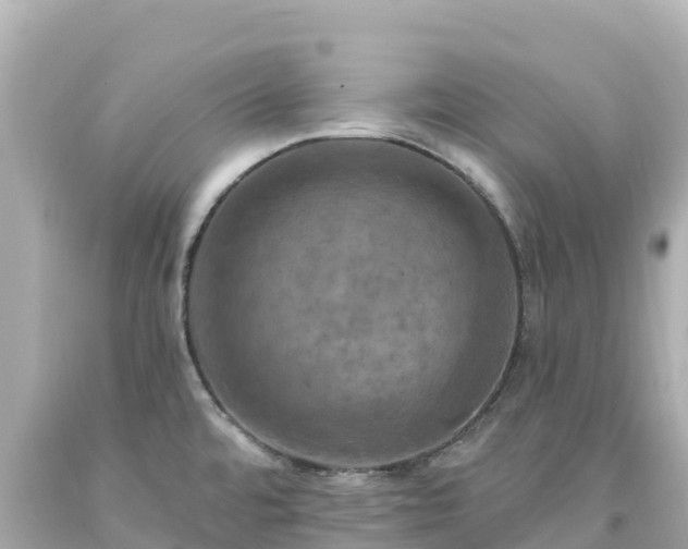X0000094211480200711021104