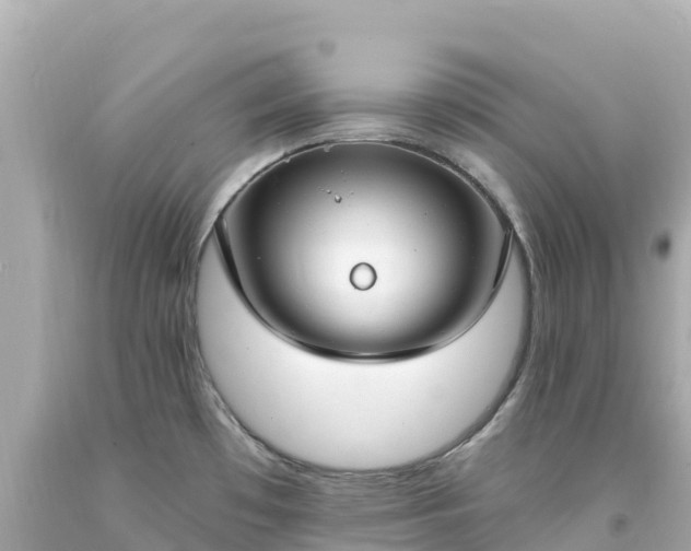 X0000094211481200711021104