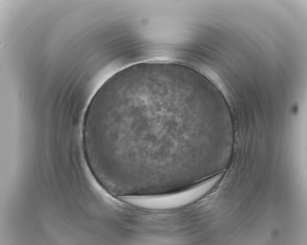 X0000094211483200711021104
