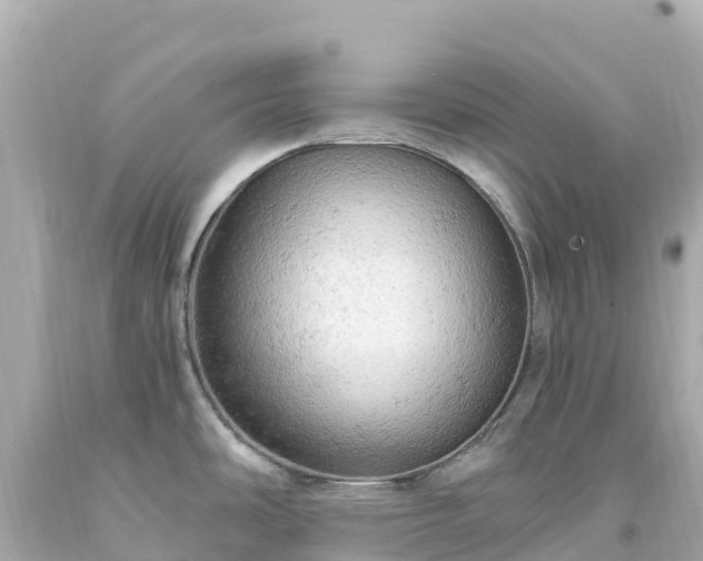 X0000094211486200711021104