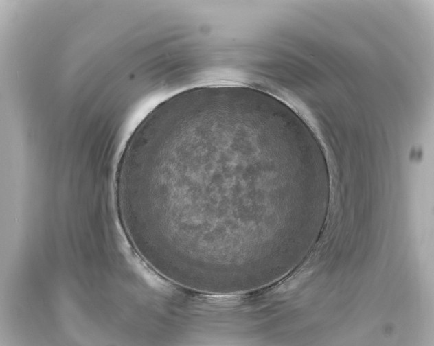 X0000094211488200711021104