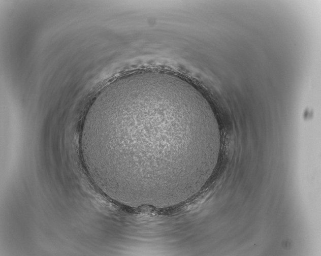 X0000094211489200711021103