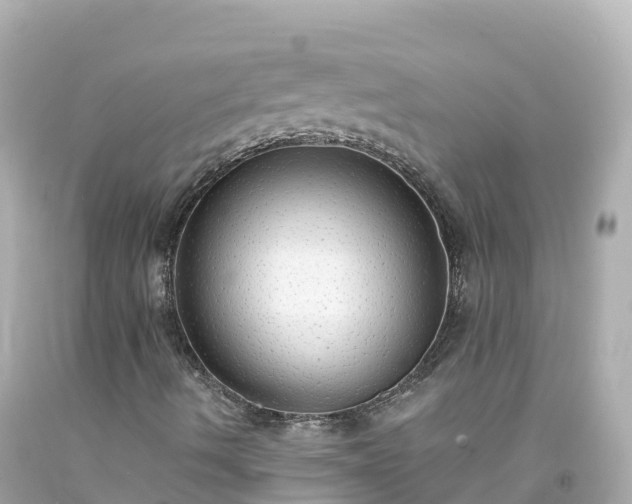 X0000094211490200711021103