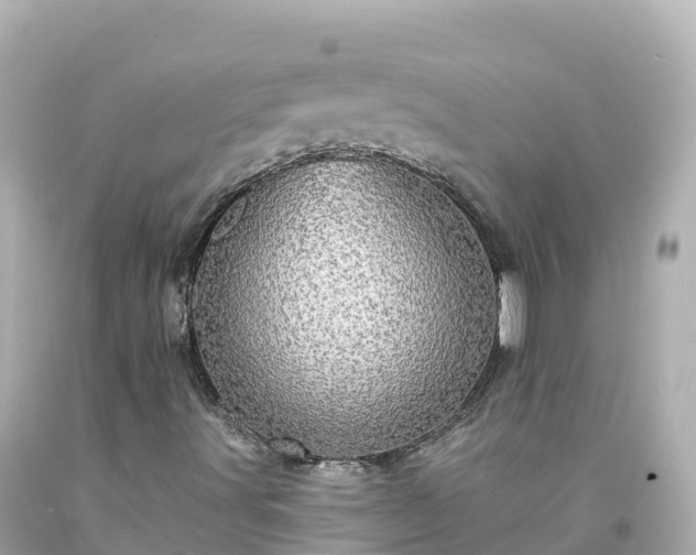 X0000094211491200711021103