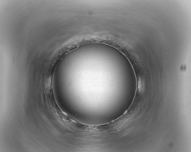 X0000094211492200711021103