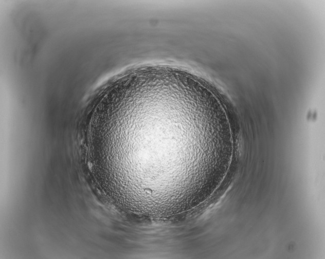 X0000094211494200711021103