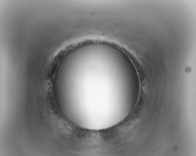 X0000094211495200711021103