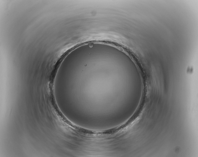 X0000094211497200711021103