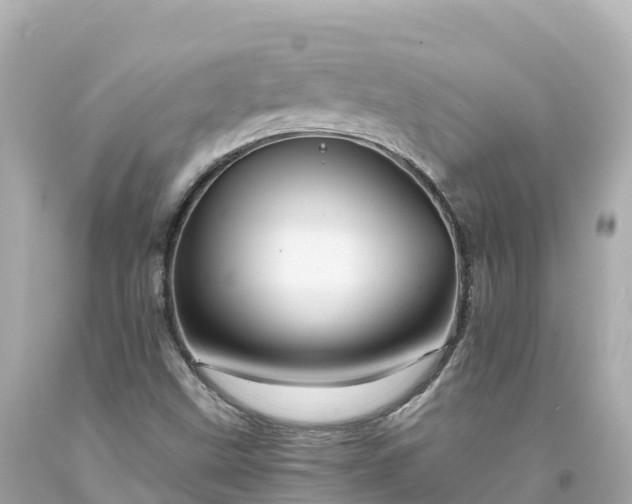 X0000094211499200711021103