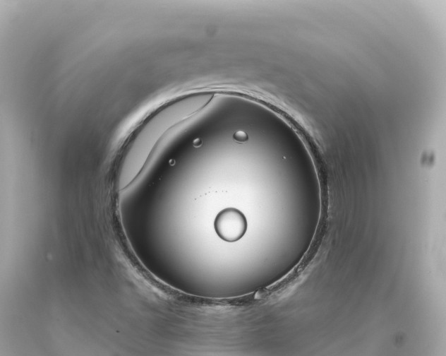 X0000094211502200711021104