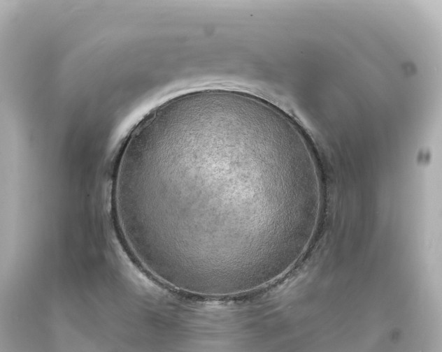 X0000094211504200711021104