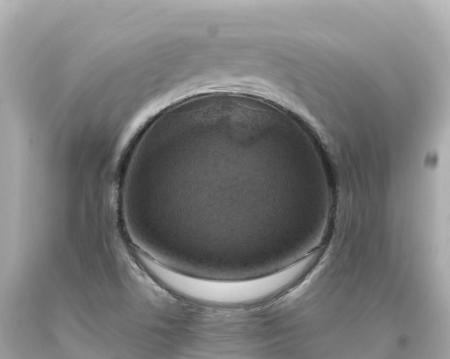 X0000094211506200711021104