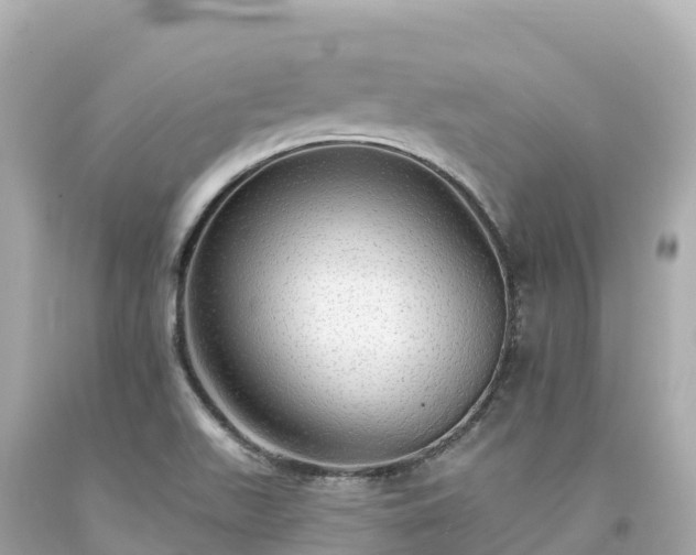X0000094211511200711021104